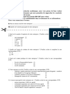 Exemplaire Des Questionnaire D Enquete Pdf Actionnaire Prets