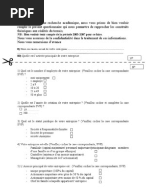 Exemplaire Des Questionnaire D Enquete Pdf Actionnaire Prets