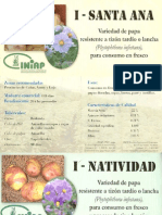 Variedades de Papa INIAP-Rosita, INIAP-Pan Pan e INIAP-Soledad Cañari (Ecuador)