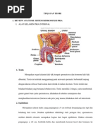 Download Tinjauan Teori Disfungsi Ereksi by Ayix Gangga SN111218493 doc pdf