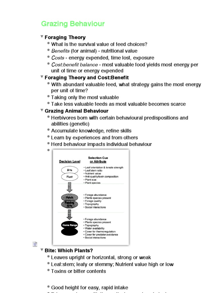 The Impact Of Grazing Behavior On Dog Quality Of Life Pdf preview
