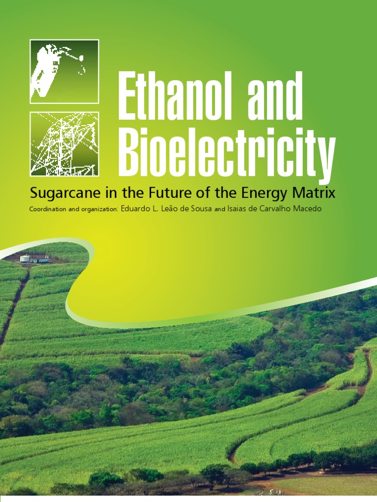 Gasoline | and | Bioelectricity Ethanol Sugarcane Book
