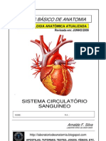 Apostila Anatomia - Sistema Circulatório