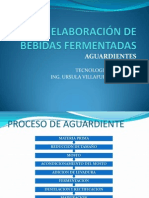 Elaboración de Bebidas Fermentadas