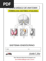 Apostila Anatomia - Sistema Endócrino