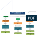 Estructura Organizacional