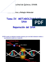 Reparacion Del Dna