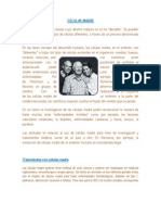 PDF de Celulas Madre