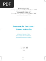 Org.processos.tomada Decisao