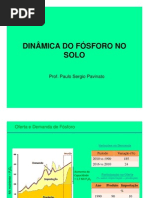 LSO_905 Aula5 Dinamica Do P