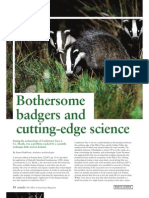 Bothersome Badgers