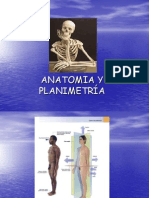 Anatomía y Planimetría