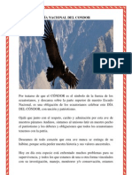 Día Nacional Del Condor