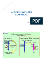 Metabolismoaren Laburpena