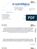 Plan Estrategico 2012-2013 Irene Dosal de Castilla