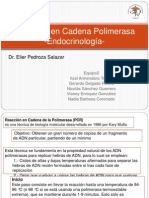 Reacción en Cadena Polimerasa - Endocrinología-: Dr. Elier Pedroza Salazar