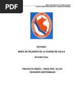 calca_mp.pdf