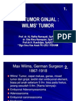 MK Nef Slide Tumor Ginjal Wilms Tumor