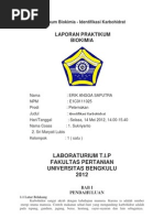 Download Laporan Praktikum Biokimia Karbo by surgafirdaus SN111345210 doc pdf