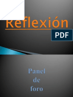 Panel