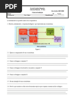 Fichas de avaliação 8º Ano (1)