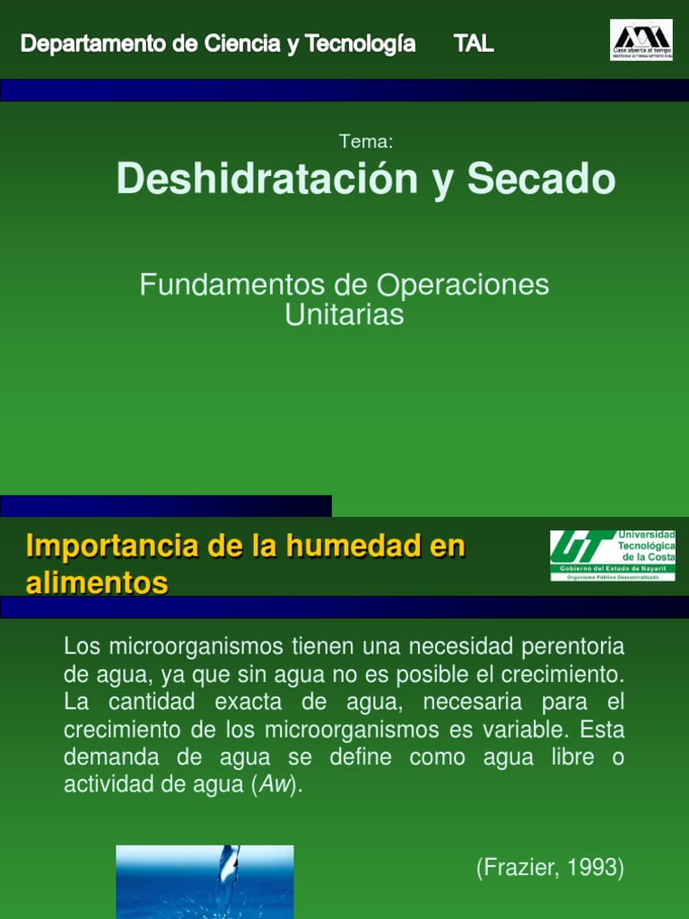 Fundamentos de Deshidratación de Alimentos | PDF | Alimentos | Agua