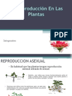 La Reproducción en Las Plantas