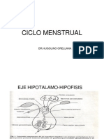 Ciclo Menstrual