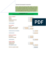 Ejercicio de Presupuesto Financiero Compañia Ñuño. Resuelto