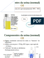 Seminário Prática de Renal