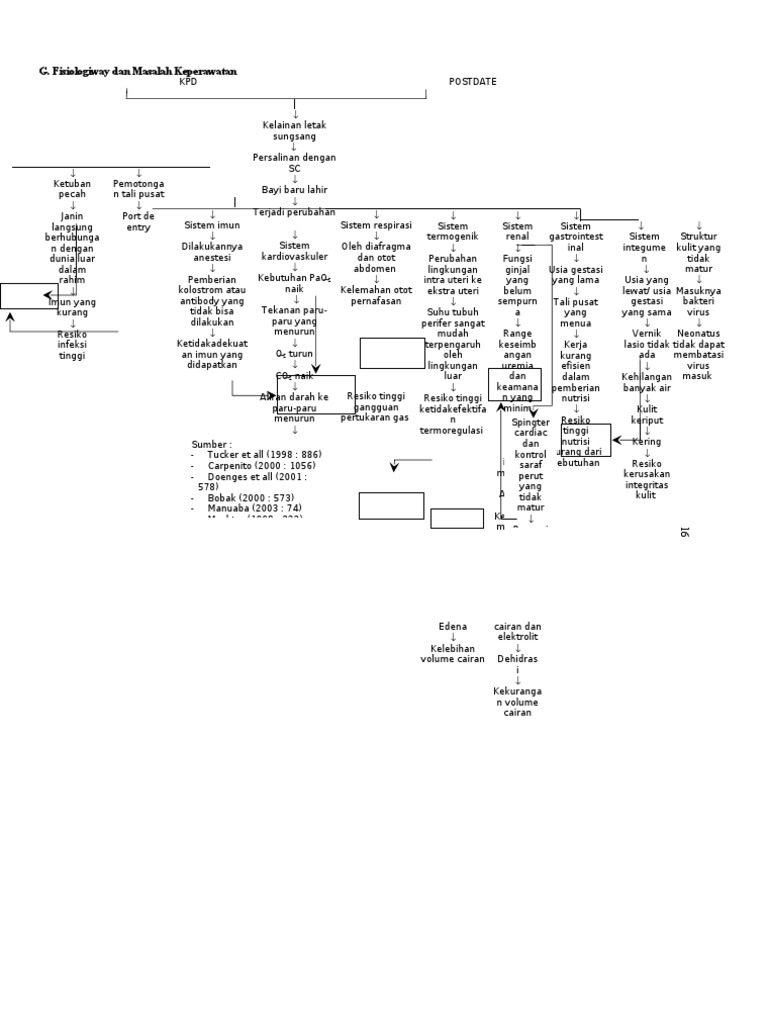 Pathway KPD | PDF