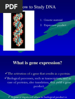 How To Study DNA: 1. Genetic Material 2. Expression Product