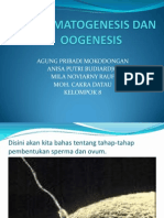 Spermatogenesis Dan Oogenesis