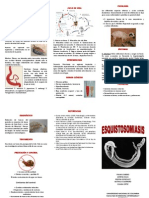 plegable eschistosomiasis