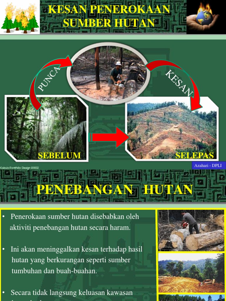 Kesan Penerokaan Hutan Pdf