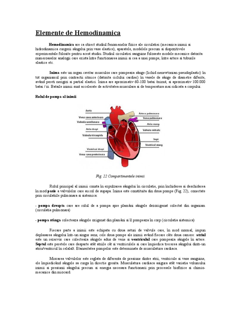 Elemente de Hemodinamica: Fig. 22 Compartimentele Inimii | PDF
