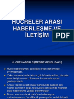 Hücreler Arasi Haberleşme Ve İleti̇şi̇m