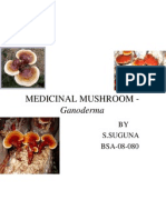 Medicinal Mushroom - Ganoderma......