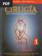Download CIRUGA PARA EL ESTUDIANTE Y EL MDICO GENERAL by felipemed SN111476105 doc pdf
