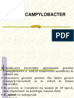 Genul Campylobacter