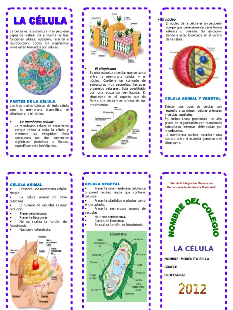 TRIPTICOCELULABIOLOGIA