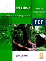 Promoción Del Cultivo Del Palto