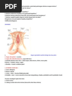 Download leukorea keputihan by dyane123 SN111536028 doc pdf