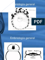 movimientos-dentarios-1215807235105033-8