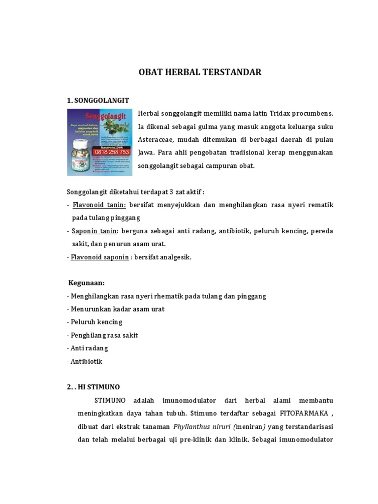  Obat  Herbal  Terstandar 