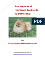 Cmo Mejorar El Comportamiento Canino de Tu Pomerania
