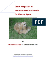 Como Mejorar El Comportamiento Canino de Tu Lhasa Apso