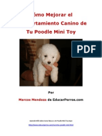 Como Mejorar El Comportamiento Canino de Tu Poodle Mini Toy