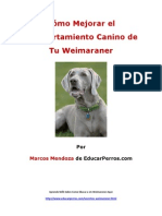 Como Mejorar El Comportamiento Canino de Tu Weimaraner