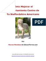 Como Mejorar el Comportamiento Canino de tu Staffordshire Americano